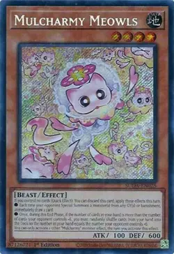 Mulcharmy Meowls - SUDA-EN025 - Secret Rare - 1st Edition NM YuGiOh!  Supreme Da - Image 1