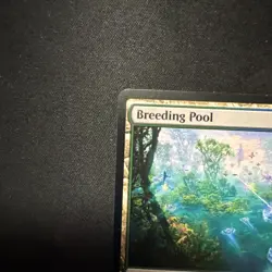 MTG magic EDGE OF ETERNITIES eoe rare BREEDING POOL x2  borderless And Regular - Image 12