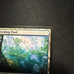 MTG magic EDGE OF ETERNITIES eoe rare BREEDING POOL x2  borderless And Regular - Image 13