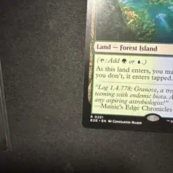 MTG magic EDGE OF ETERNITIES eoe rare BREEDING POOL x2  borderless And Regular - Image 15