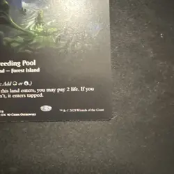 MTG magic EDGE OF ETERNITIES eoe rare BREEDING POOL x2  borderless And Regular - Image 4