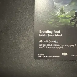 MTG magic EDGE OF ETERNITIES eoe rare BREEDING POOL x2  borderless And Regular - Image 5