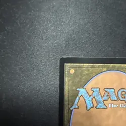 MTG magic EDGE OF ETERNITIES eoe rare BREEDING POOL x2  borderless And Regular - Image 7
