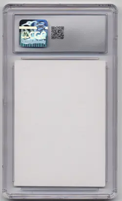 Graded Cat Warriors CGC 7.5 NM+ Legends Playtest Card cg4a 1994 WOTC MTG Magic! - Image 2