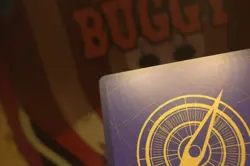 ONE PIECE TCG Tony Tony Chopper P-089 Offline Regional FINALIST CARD 2025 Vol.2 - Image 15