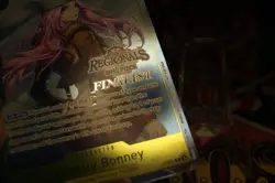 ONE PIECE TCG BONNEY P-085 Offline Regional FINALIST CARD 2025 Vol.2 - Image 12