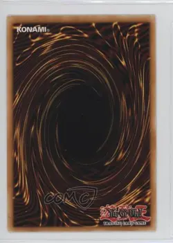 Amazoness Golden Whip Master 1st Ed. YuGiOh 25th Anniversary Dueling Heroes 0it8 - Image 2