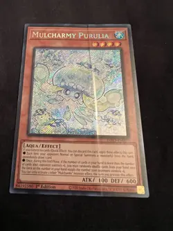 Yugioh! Mulcharmy Purulia - INFO-EN027 - Secret Rare - 1st Edition DAMAGED!! - Image 1