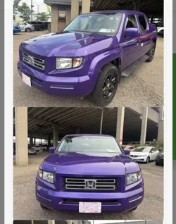 Mtg Alpha Grizzly Bears  - Image 3