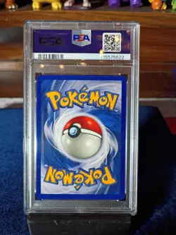 1999 Wizards of the Coast Pokemon 8 Pidgeot Jungle Holo PSA 8 NM-MT - Image 2