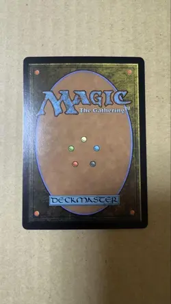 Mtg Boy Seeking Freedom Van Foil Borderless Ff - Image 2