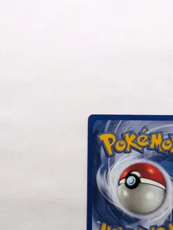 💎NM- 1st First Edition Horsea #49/62 Fossil Set Pokemon Card 1999 WOTC TCG - Image 8