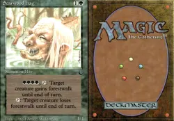 Magic the Gathering -MTG-Scarwood Hag - Image 1