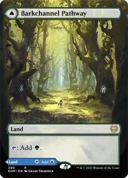 Barkchannel Pathway // Tidechannel Pathway [BORDERLESS] Kaldheim ~ Rare (NM/M) - Image 1