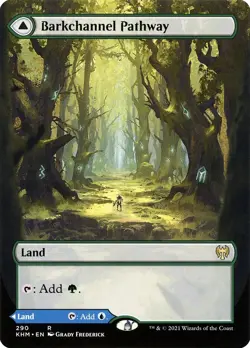 Barkchannel Pathway // Tidechannel Pathway [BORDERLESS] Kaldheim ~ Rare (NM/M) - Image 2