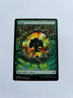 Forest NM (0291) Tarkir: Dragonstorm Regular MTG - Image 2