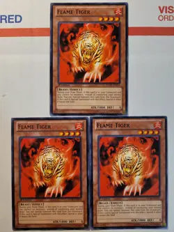Flame Tiger - SDOK-EN019 - Common - 1st Edition x3 - Near Mint Yugioh Playset - Image 1