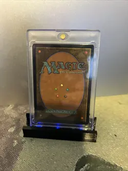 MTG Beloved Princess (Rainbow Foil) - Secret Lair Drop Series (SLD) #804 JP - Image 11