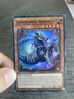 Yu-gi-oh! Card Tastunotoshigo Mémentotlan VASM-FR003 Super Rare French Occas - Image 15
