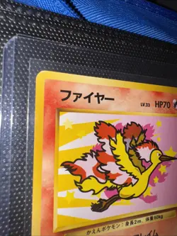 ANA Jet PROMO Moltres Old Back Pokemon Card Japanese - Image 5