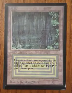 Bayou Ie Mtg International Edition Magie The Gathering Dual Black Border Beta - Image 1