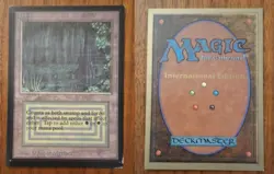 Bayou Ie Mtg International Edition Magie The Gathering Dual Black Border Beta - Image 6