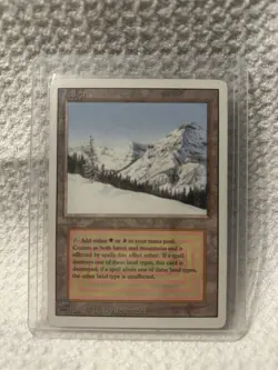 MTG Magic The Gathering - Taiga - Dual Land - Revised Edition - Rare!!! - Image 5