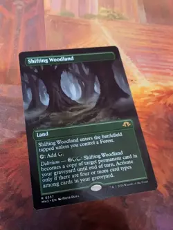MTG - Shifting Woodland - Borderless Non-foil - Modern Horizons 3 - Image 11