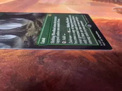MTG - Shifting Woodland - Borderless Non-foil - Modern Horizons 3 - Image 16