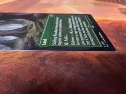 MTG - Shifting Woodland - Borderless Non-foil - Modern Horizons 3 - Image 5