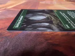 MTG - Shifting Woodland - Borderless Non-foil - Modern Horizons 3 - Image 6