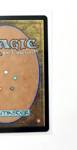 Forest BLB Bloomburrow MTG 281 FOIL Full Art Basic Land - Image 6