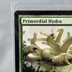 MTG Primordial Hydra (1/3) Duels of the Planeswalkers 2013 Promos NM - Image 2