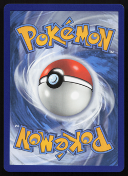 Zeraora VMAX SWSH264 Sword & Shield Black Star Promo Near Mint Pokemon Card - Image 4