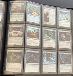 Bloomburrow BLB FOIL NM SET Over 300 Different UnPlayed MINT Cards Magic MTG TCG - Image 29