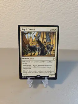 MTG Regal Caracal LP Amonkhet - Image 1