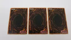 3x  MOTHER GRIZZLY MONSTER 1ST EDITION SD4-EN005 COMMON  YUGIOH  NM - Image 2