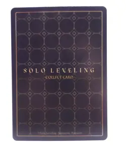 Woo Jinchul Solo Leveling Mapniverse SL1E-077 SR Anime Trading Card - Image 2