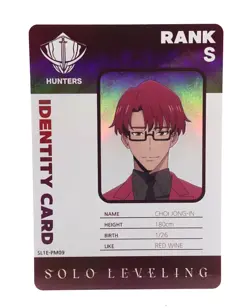 Choi Jong-In Solo Leveling Mapniverse SL1E-PM09 ID Anime Trading Card - Image 1