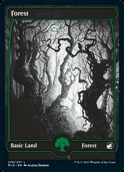 MTG Forest (276) [Innistrad: Midnight Hunt] Near Mint - Image 1