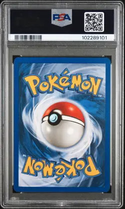 Pokemon PSA 10 Beedrill #H4 Holo Skyridge 2003 English - Image 3