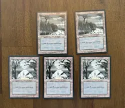 Vintage MTG Magic Land Lot (47 cards) -Various Sets -Revised, 4th, 5th, 6th, 8th - Image 15