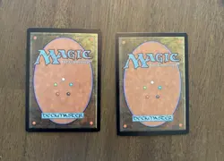 Vintage MTG Magic Land Lot (47 cards) -Various Sets -Revised, 4th, 5th, 6th, 8th - Image 9