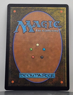 Blade Historian - Strixhaven: School of Mages - STX - 165/275 - MTG - Image 4