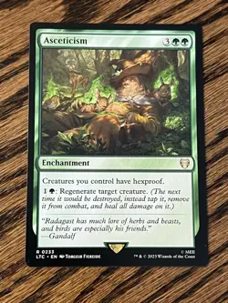 MTG - ASCETICISM - Lord of the Rings - LOTR - NM - NEAR MINT Magic the Gathering - Image 3