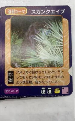 Mixed Lot Of Japanese Language Trading Cards - Pokémon, World Battle(?) + - Image 3