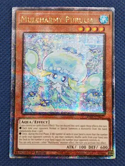 YuGiOh Mulcharmy Purulia #INFO-EN027 1st Ed Quarter Century Secret Rare NM - Image 1