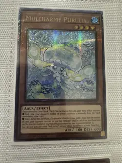 YuGiOh Mulcharmy Purulia #INFO-EN027 1st Ed Quarter Century Secret Rare NM - Image 1