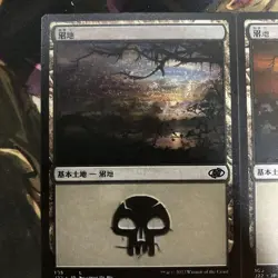 Mtg Jump Start 2022 Error Card Double Printing Swamp Plans Two-Piece Set - Image 2