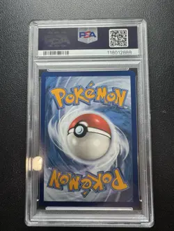 2023 Pokemon Paldea Evolved Pal en Illustration #203 Magikarp, PSA 10 Gem Mint - Image 2